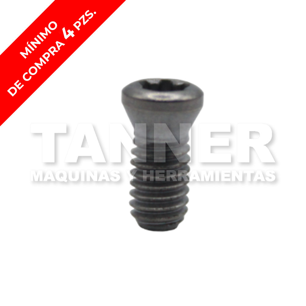 10 TORNILLOS TORX 2-2.5 4H