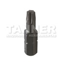 PUNTA TORX T25X25MM